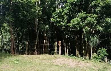 Imagem 3: Barbada vendo Chácara com venda por R$250.000