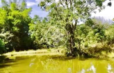 Imagem: A fazenda possui 36m² de Área e está localizado em São