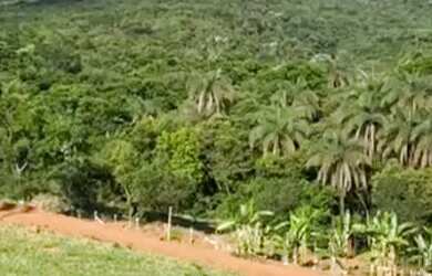 Imagem: A chácara possui 500m² de Área e está localizado em Igarapé