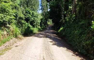 Imagem 5: Sítio / Chácara para Venda em Nova Petrópolis, Linha Brasil Fundos