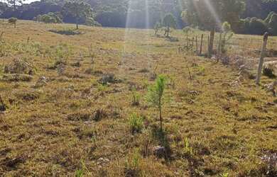 Imagem 6: Chácara em mato queimado 2 km da estrada do Cazuza ferreira