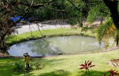 Imagem 6: Sitio - Bairro Linha 28. 160m² de Área