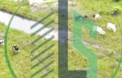 Imagem: A fazenda está localizado em Centro, Boa Vista à venda por