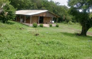 Imagem: A chácara possui 5000m² de Área e está localizado em Pacotuba