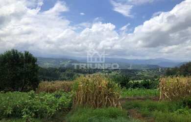 Imagem 11: Sítio Chácara com venda por R$259.000