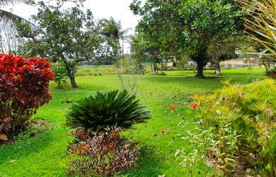 Imagem: A fazenda possui 30.492m² de Área e está localizado em Cachoeira