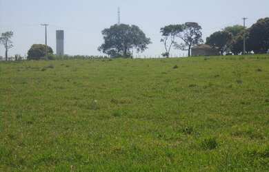Imagem 5: Sao Carlos - Terreno Padrao - Jardim Maracana
