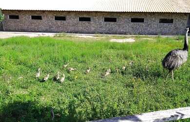 Imagem 4: Condomínio Fazenda real I/II, Lote/Terreno para venda possui 1.110 m2 em Zona Rural - Maca