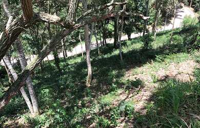 Imagem 4: Terreno à venda, 311 m² por R$ 105.000,00 - Vargem Grande - Teresópolis/RJ