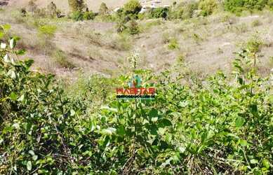 Imagem: O terreno possui 50.000m² de Área e está localizado em Centro