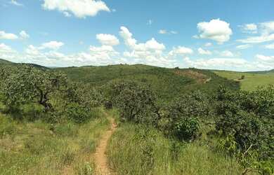 Imagem: A fazenda possui 300m² de Área e está localizado em Santana