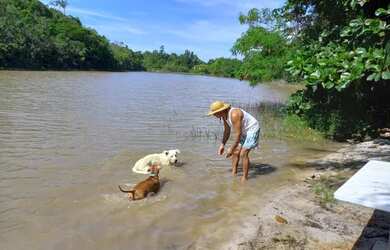 Imagem: A casa em condomínio possui 2 Dormitórios, 2 Banheiros, 2