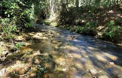 Imagem 5: Terreno à Venda, 20.000m2 a 55km de Brasilia, Entrada Facilitada 625...