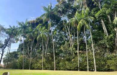 Imagem 16: Granjas para alugar em Juiz de Fora
