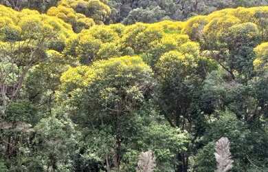 Imagem: A chácara possui 282.000m² de Área e está localizado em