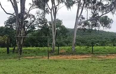 Imagem 10: Fazenda 3 quartos para Venda Amaral, Unaí