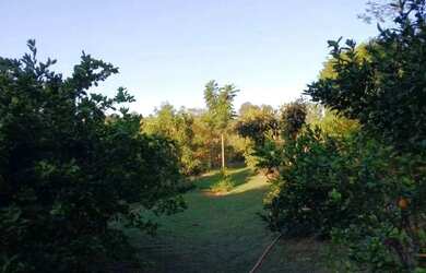 Imagem 8: Sítio, Região de Porto Feliz SP