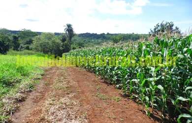 Imagem: A fazenda possui 290.000m² de Área e está localizado em