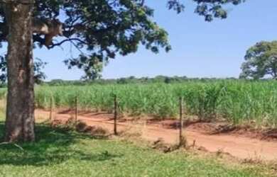 Imagem: A fazenda está localizado em Uberlândia, MG à venda por R$4.500.000