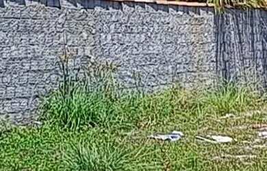 Imagem 2: Lote 12x30 MURADO 3 LADOS na PRAIA de CATUAMA após Ponta de Pedras