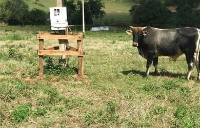 Imagem 7: Chácara a venda. 24.000m² de Área