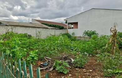 Imagem 3: Terreno à venda, PERIOLO - CASCAVEL/PR
