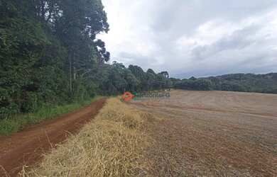 Imagem 8: Área à venda, 16 alqueires por R$ 2.000.000 - Zona Rural - Campina do...