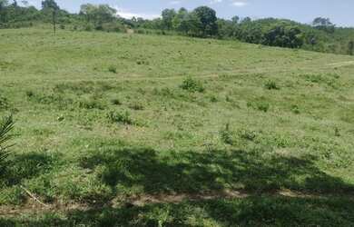 Imagem: A fazenda possui 250m² de Área e está localizado em Jaraguari