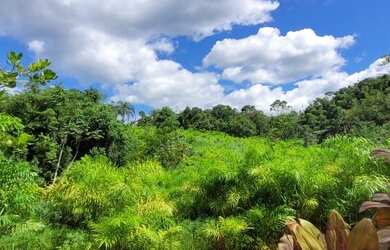 Imagem 15: Venda. 112.000m² de Área