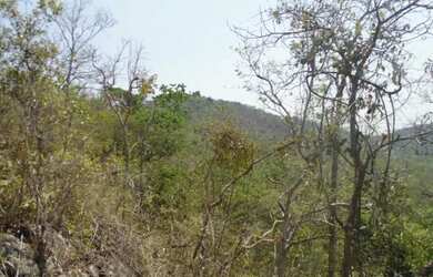 Imagem 7: Chacara em Jussara/GO. 52.423m² de Área