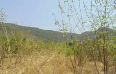 Imagem 4: Chacara em Jussara/GO. 52.423m² de Área