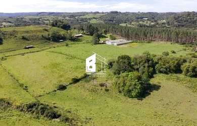 Imagem 6: Área rural com 67 ha, casas, açude e pinus