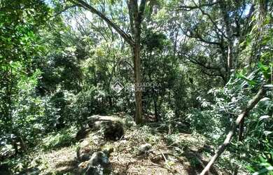 Imagem 8: Terreno à venda na linha 40 em Caxias do Sul