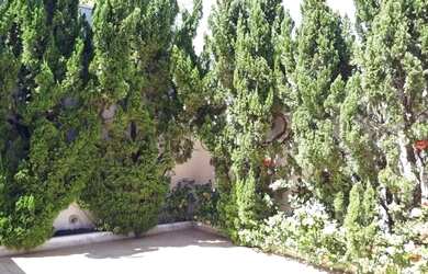 Imagem 11: Casa à venda em Campinas, Jardim Myrian Moreira da Costa, com 4 quartos,...