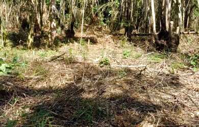 Imagem: A chácara possui 20.000m² de Área e está localizado em