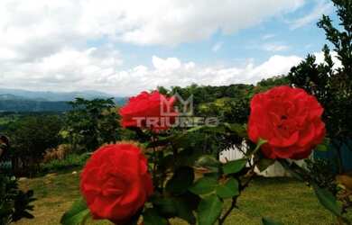 Imagem 5: Sítio Chácara com venda por R$259.000