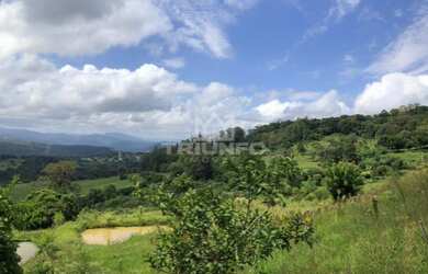 Imagem 9: Sítio Chácara com venda por R$259.000