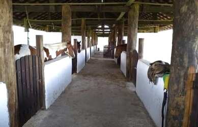 Imagem 11: Terreno no Fazenda Real. 420m² de Área