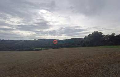 Imagem 6: Área à venda, 16 alqueires por R$ 2.000.000 - Zona Rural - Campina do...