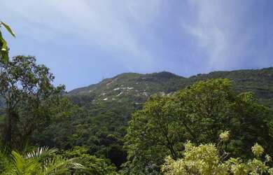 Imagem 7: Mansão - Alto da Boa Vista