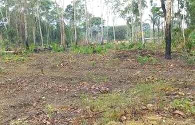 Imagem: A casa possui 3 Dormitórios, 3 Banheiros, 2 Vagas na garagem