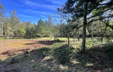 Imagem 3: Sítio Com Açude Em Condomínio Fechado. ROB 699