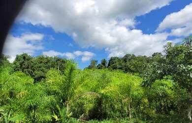 Imagem 10: Venda. 112.000m² de Área