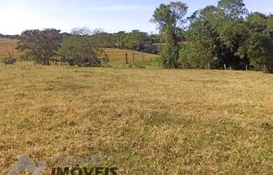 Imagem 11: Ótima Fazenda entre Floreal e Nhandeara com 130 alqueires Cana / Pasto...