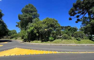 Imagem 3: Área com potencial construtivo a venda