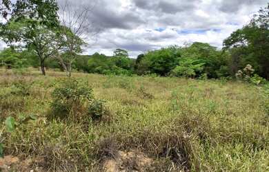 Imagem 8: TERRENO RURAL 5.264 m² - / ANTÔNIO OLINTO - MONTES CLAROS MG