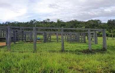 Imagem 6: Fazenda 3 quartos para Venda Amaral, Unaí