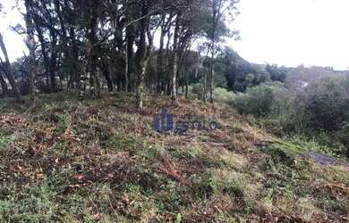 Imagem 5: Terreno à venda, 559 m² por R$ 699.000,00 - Monte Bérico - Caxias do Sul/RS