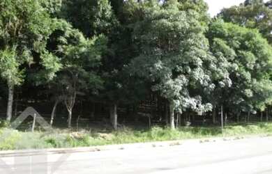 Imagem 2: Terreno no bairro Cruzeiro