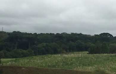 Imagem 8: Terreno Laranjais. 23.810m² de Área